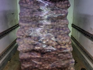 I have for sale 440 bags of bellaroza for