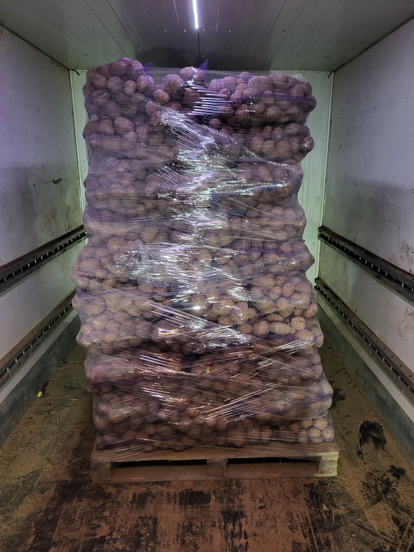 I have for sale 440 bags of bellaroza for PLN 20 per bag from the farmer and 100 bags of soraya for PLN 17