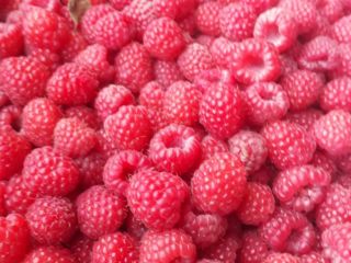 Bio Organic raspberry (the raspberry has an organic certificate
