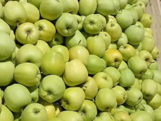 I will establish cooperation with the recipient of apples