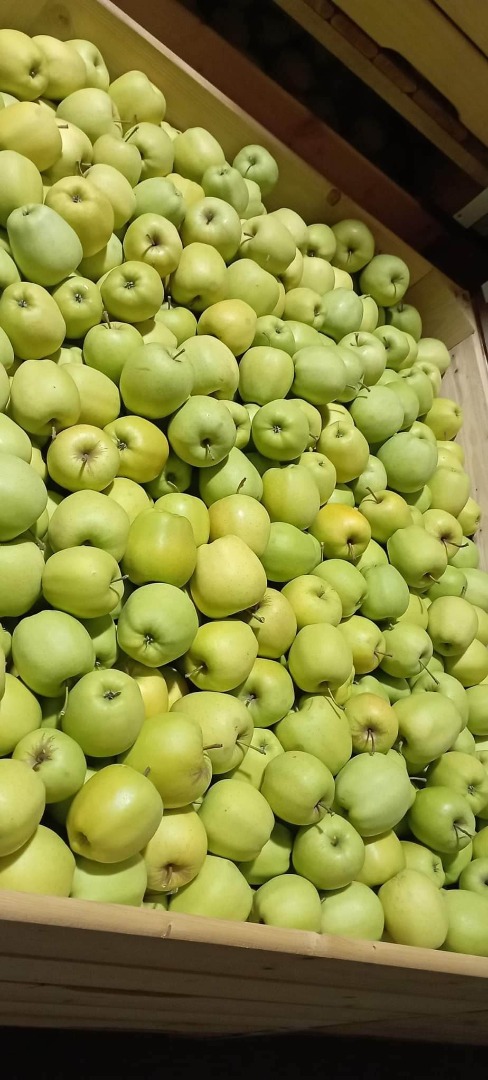 I will establish cooperation with the recipient of apples from Poland (Sandomierz)