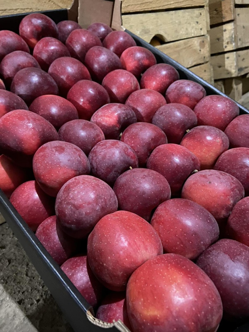 We are selling apples in all Europe