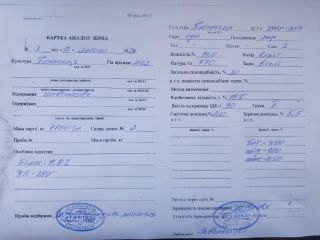 The agricultural producer will sell wheat in the amount