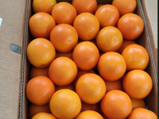 High quality Egyptian orange. Directly from the manufacturer. Minimum