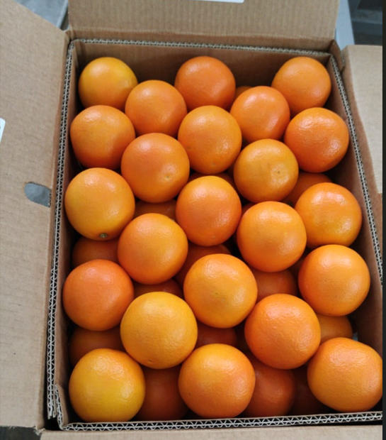 High quality Egyptian orange