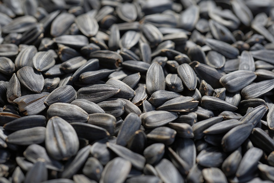 Black sunflower seeds