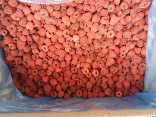 Ladies and Gentlemen, we can offer you Raspberries in