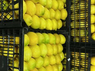 I WILL SELL A LEMON! QUANTITIES OF TIRS Class