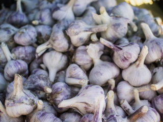 Hello everyone, Spanish garlic directly from the producer, large
