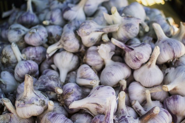 Hello everyone, Spanish garlic directly from the producer, large quantities, different varieties