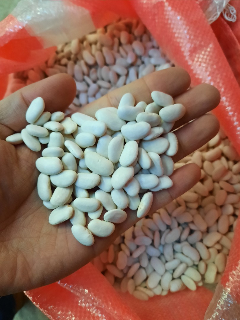 white and red beans 1