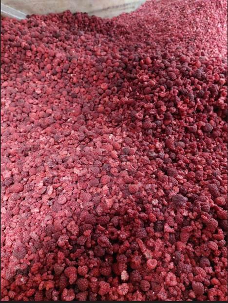 Hello, I have for sale a very nice frozen raspberry grits (a lot of whole pieces of fruit)