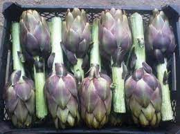 egyptian artichoke for 4000 pound per ton you can also by with dollar (134) us dollar for ton //this price dosent enclude packing or customs we can provide up