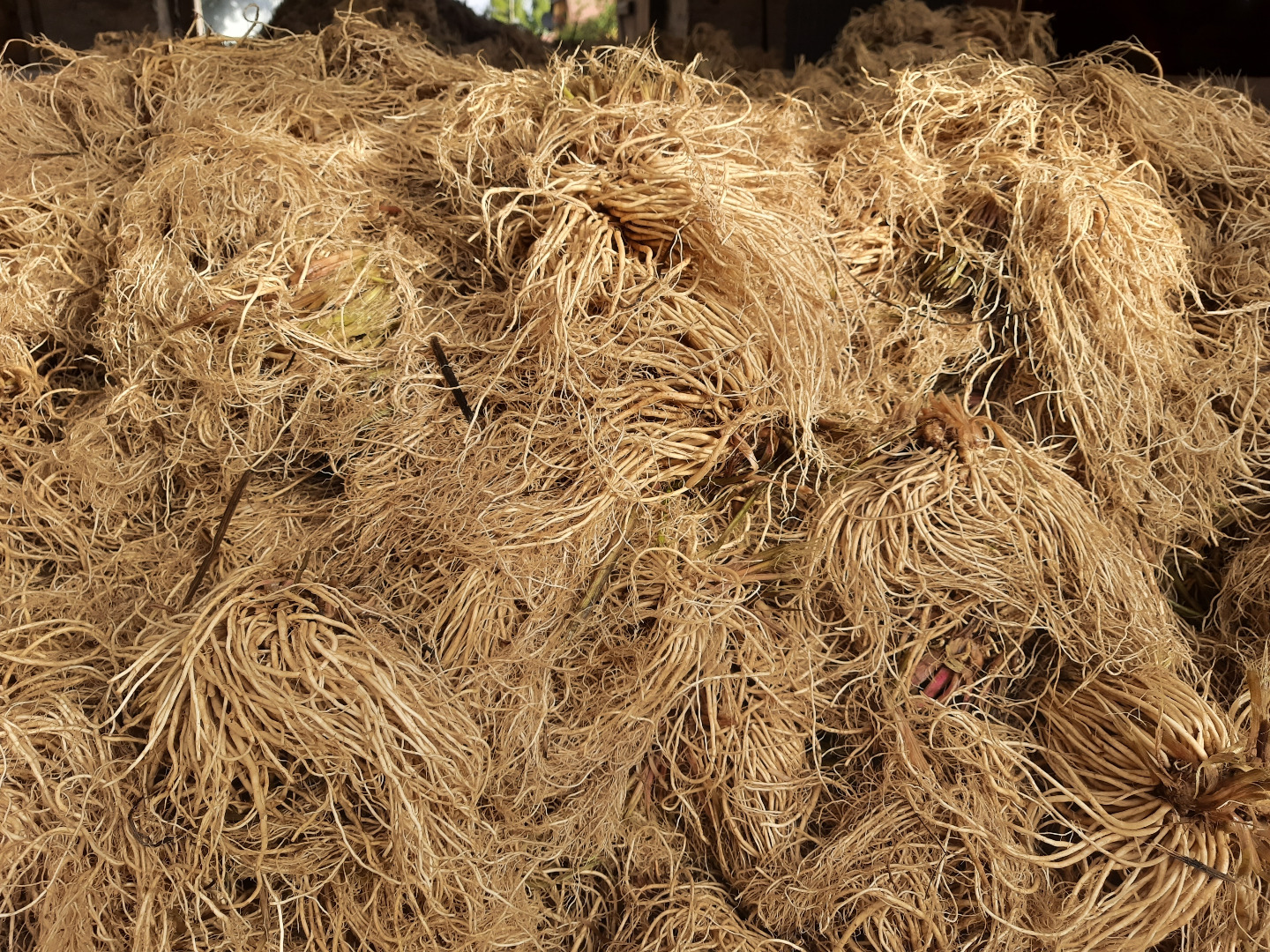 I will sell washed and dried valerian root