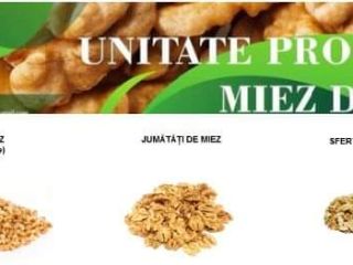 Walnut kernel processing unit offers you quality walnut kernel,