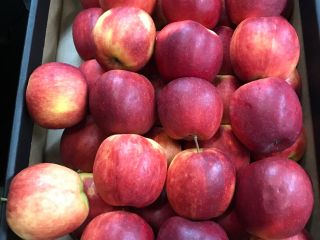 I will sell apples of the Szampion Prince golden