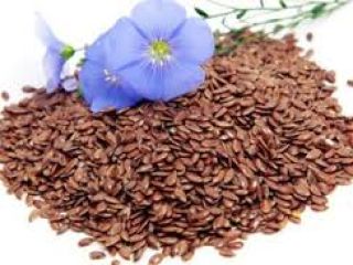Oilseed flax Region of origin: Kazakhstan Delivery terms: DAP,