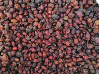 I am selling rosehip fruit, rosehip husk, rosehip seeds,
