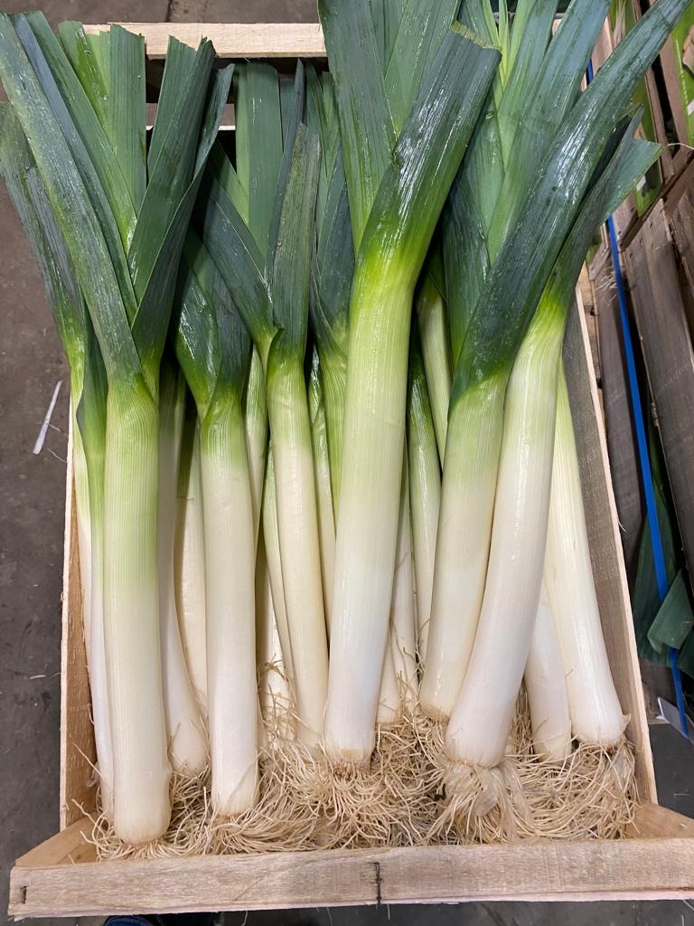 I will sell leek caliber 3/4 commercial quality, phone number