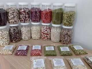 We sell Green mung beans White,red beans Pinto beans