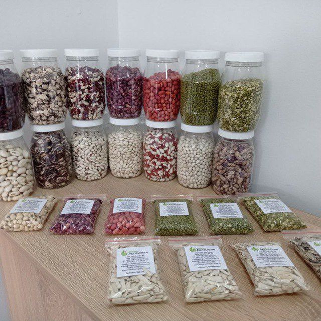 We sell Green mung beans White,red beans Pinto beans