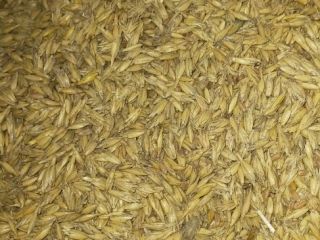 The rest of the grain from home cultivation. 400
