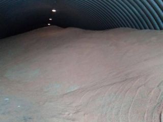 Hello, ladies and gentlemen, we offer fodder wheat for