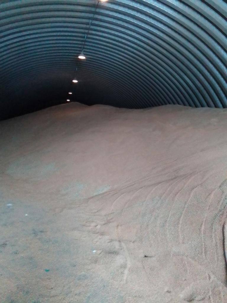 Hello, ladies and gentlemen, we offer fodder wheat for sale