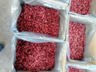 We offer raspberry varieties Vilamet and Miker in quality
