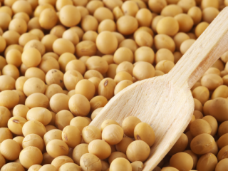 I will sell soybeans, quality certificates to be made