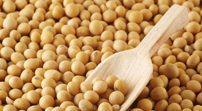 I will sell soybeans, quality certificates to be made available, soybeans transported from Ukraine to Poland