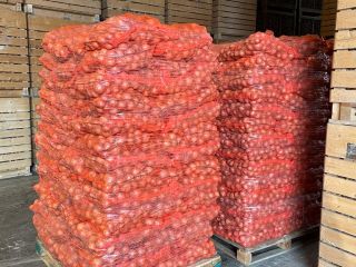 The onion is in stock in Germany. About 1000