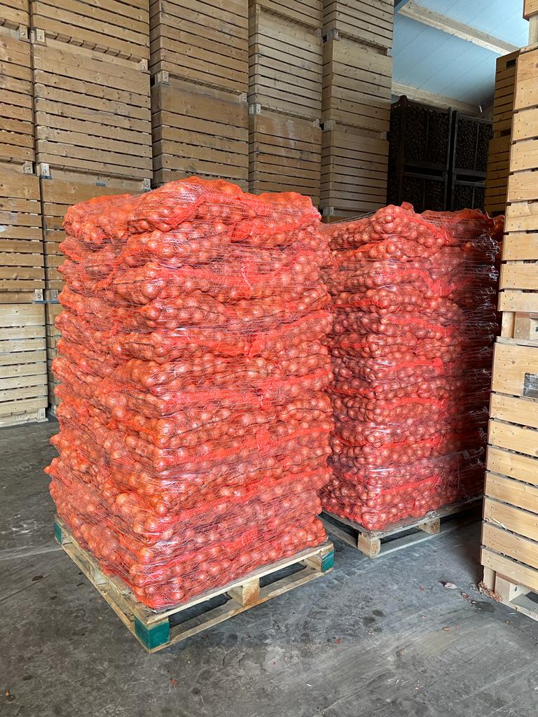 The onion is in stock in Germany