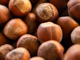MegAgro LLC is a family-owned hazelnut factory, which is