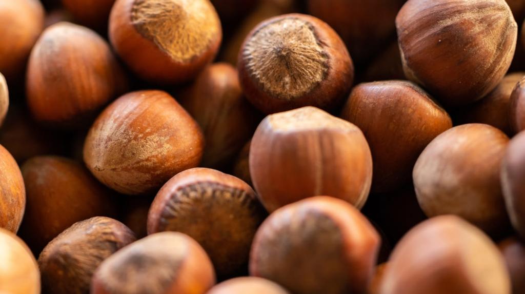 MegAgro LLC is a family-owned hazelnut factory, which is located in the western part of Georgia in the Guria region