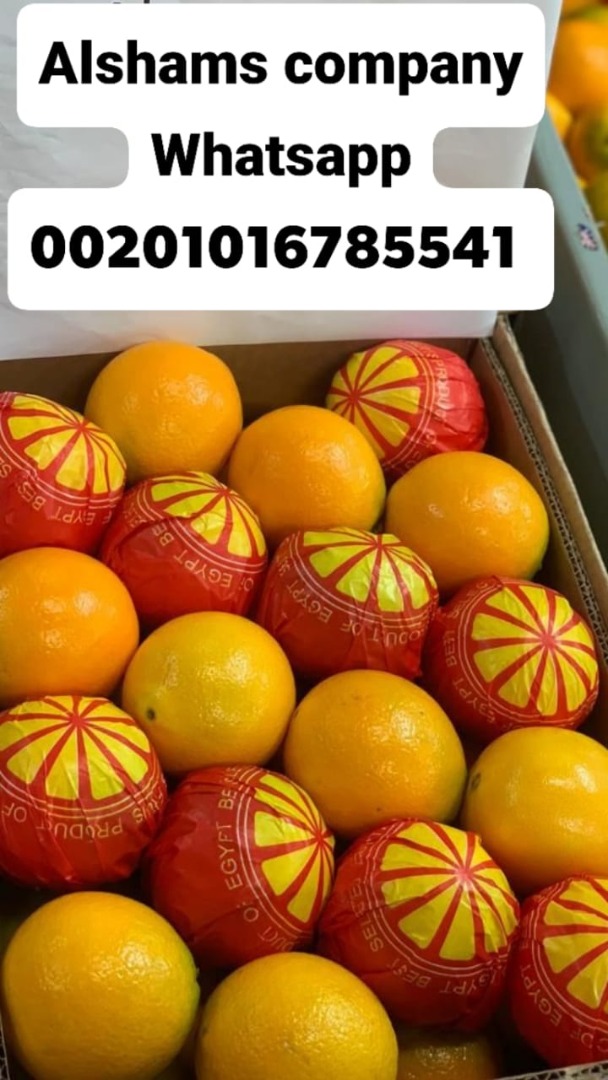 we are alshams company for exporting all agricultural crops from Egypt to all the world