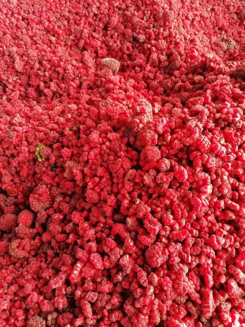 I WILL SELL FROZEN RASPBERRY