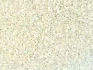 I WILL SELL RICE IN BB, the possibility of