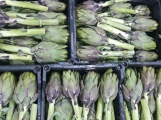 Fresh green artichoke from Egypt ready to be exported