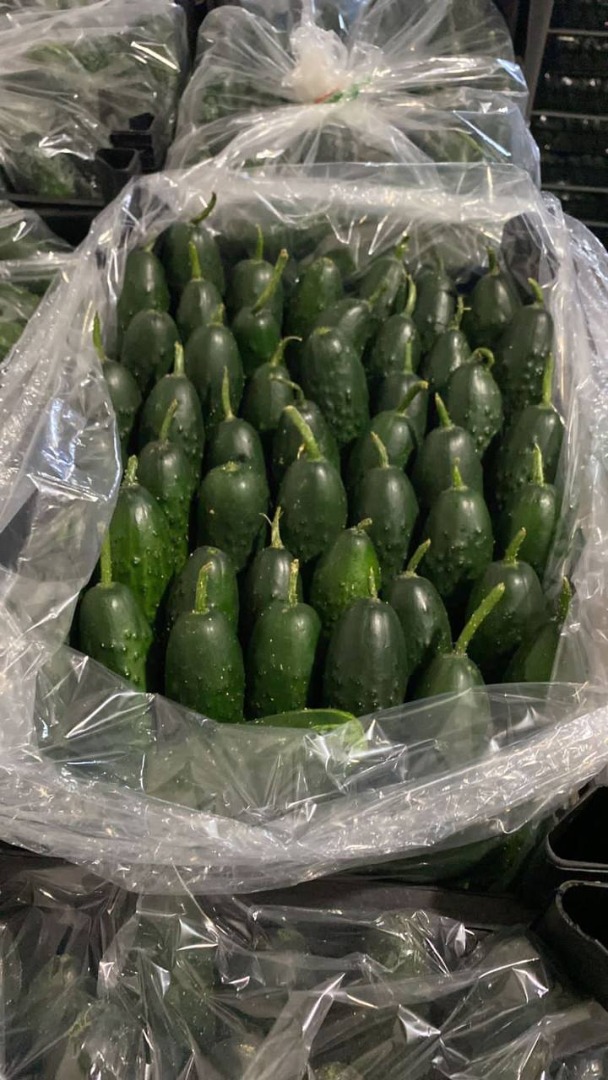 I will sell cucumber from Turkey wholesale price from Antalya 1.15€