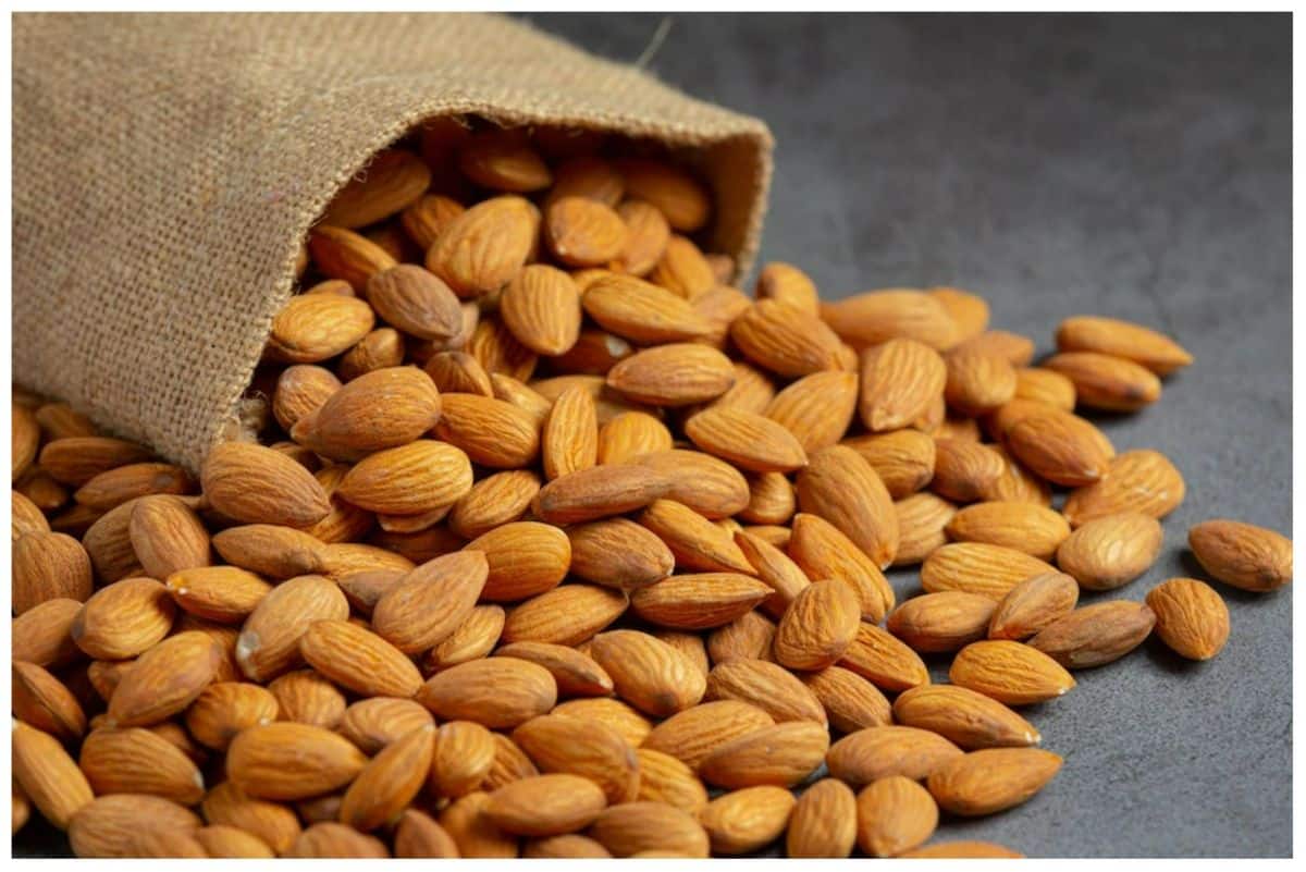 Organic Raw Almond Nuts After 5 decades of manufacturing and exporting organic raw Almond nuts, we are proud to claim that we have customers from different