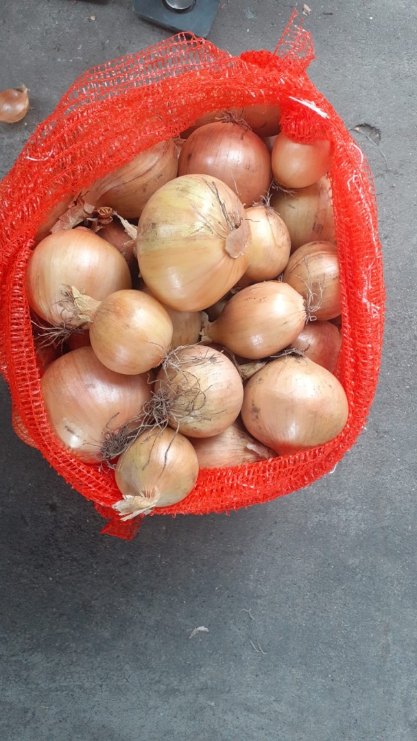 I buy a nice healthy onion, 4.5+, truck quantities, in bags