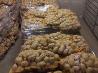 I will sell red bellarosa potatoes 45+ clean without