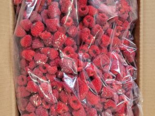 I will sell frozen raspberries 95/5%, 10 kg carton