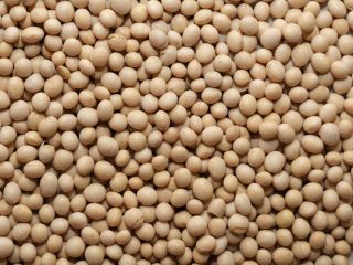 Sell soybeans, On the terms of DAP Europe and