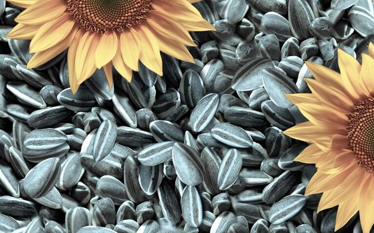 Sell sunflower On the terms of DAP, CIF Europe and FOB Ukraine Big bag packaging My WhatsApp, Viber, Telegram