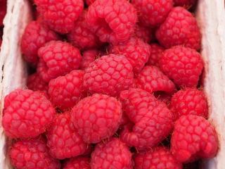 Selected raspberries, frozen