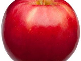 Fresh selected real apples of many types and varieties.