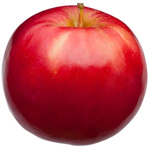 Fresh selected real apples of many types and varieties