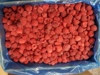 I will sell whole frozen raspberries and grits in